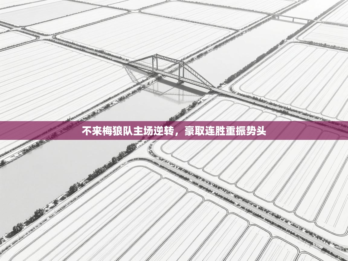 不来梅狼队主场逆转,豪取连胜重振势头 第2张