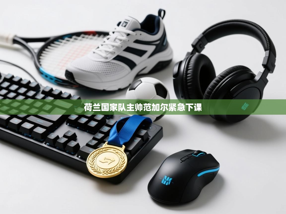 荷兰国家队主帅范加尔紧急下课 第2张