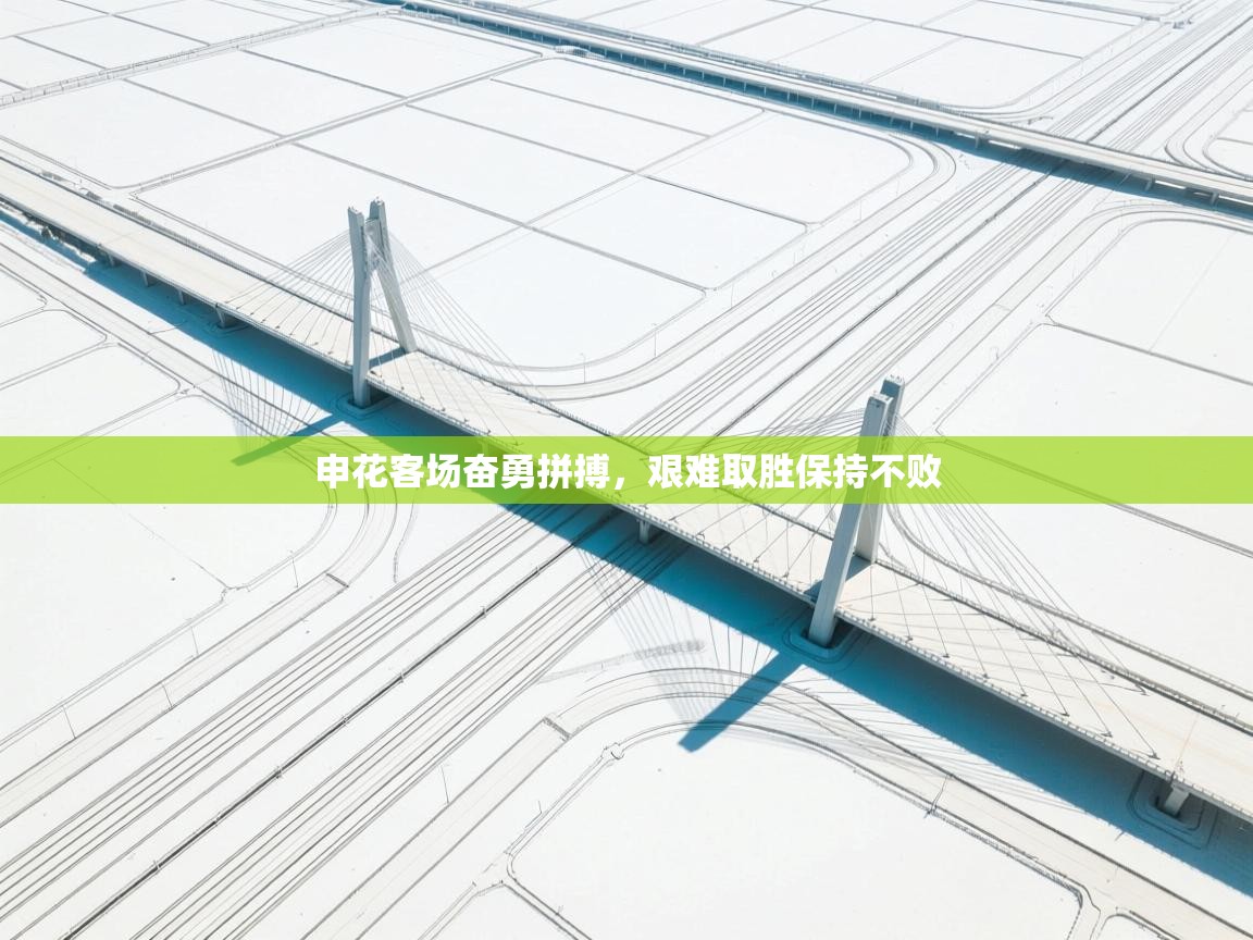 申花客场奋勇拼搏，艰难取胜保持不败  第2张